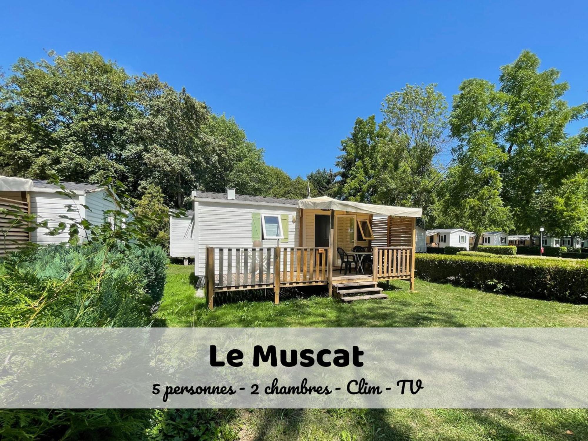Le Muscat - Bungalow Pour 5 - Tv - Clim Boofzheim Room photo